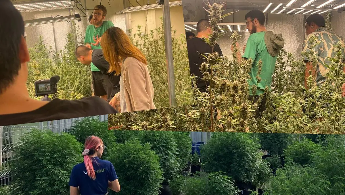 Our very first Spannabis