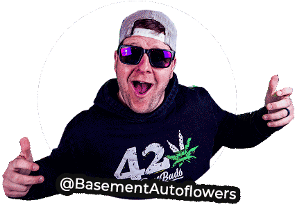 Host of Cannaflix