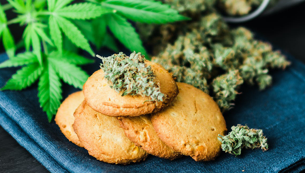 How To Make Edibles Hit Harder And Faster How to Make Weed Edibles for Beginners - Best Weed Edibles Recipes