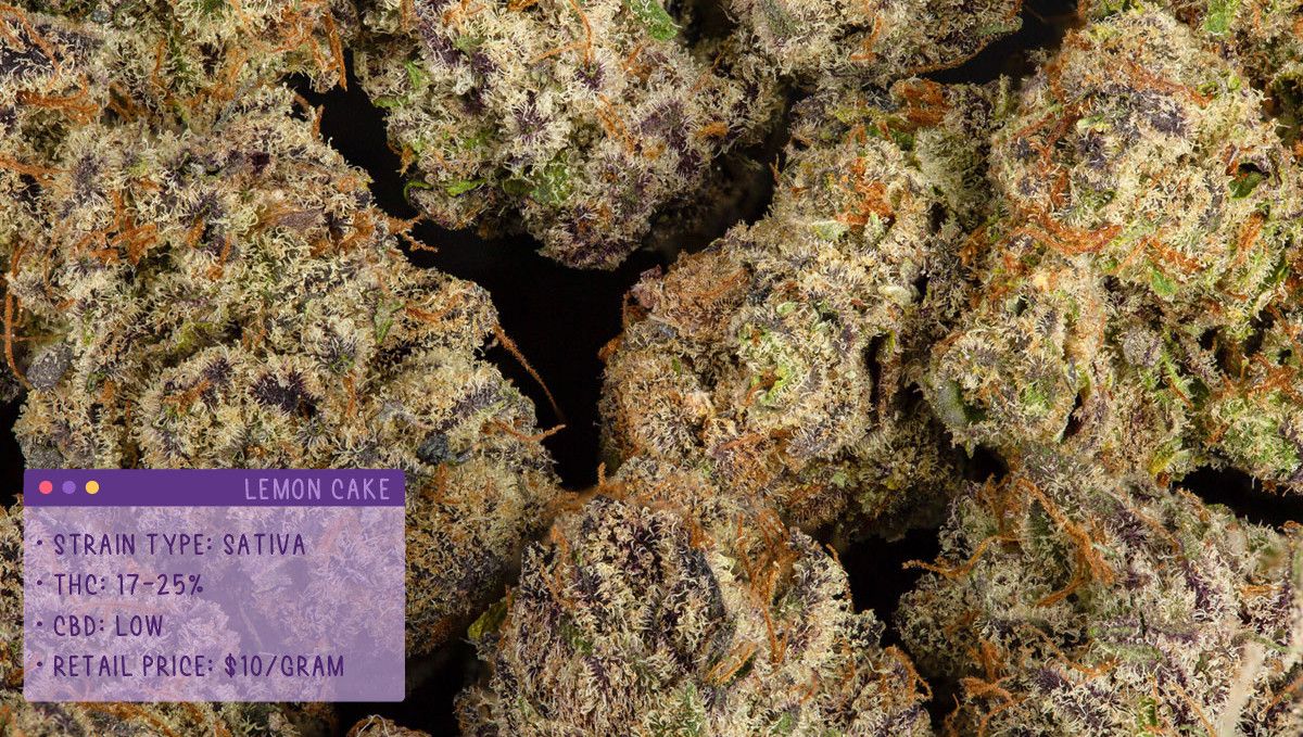 Best Weed Strain In Schedule 1 22 Best Weed Strains to Try in 2022 | Fast Buds