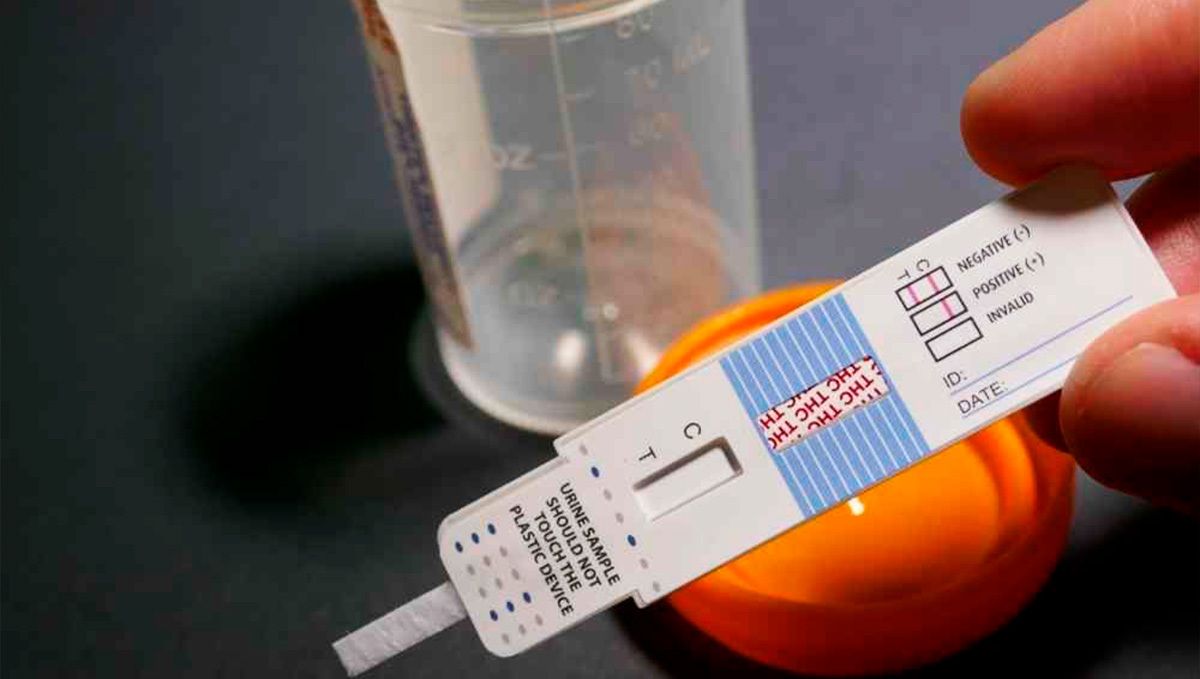 How To Pass Drug Tests Fast Buds How To Pass Drug Tests Fast Buds