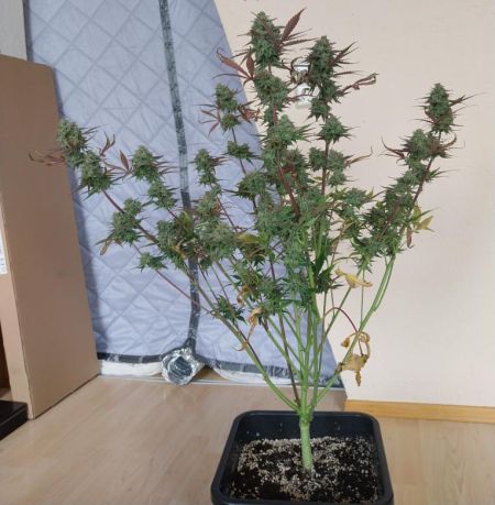 Review photo #4