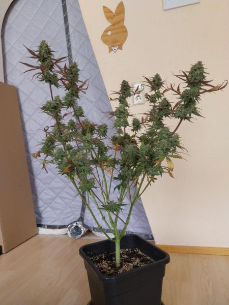Review photo #5