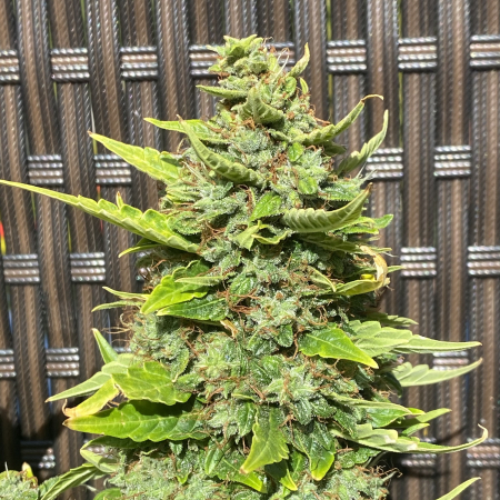 Review photo #1