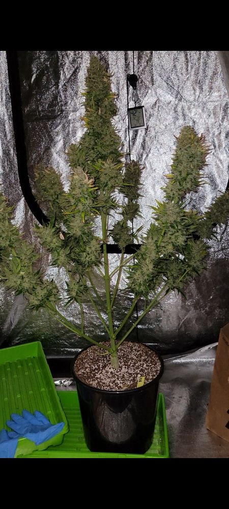 Review photo #4