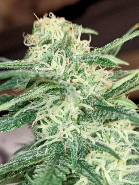 Review photo #6