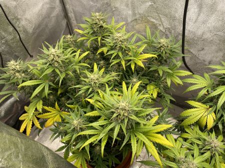 Review photo #5