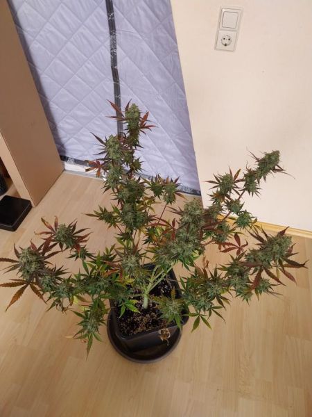 Review photo #11