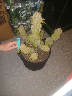 Review photo #3