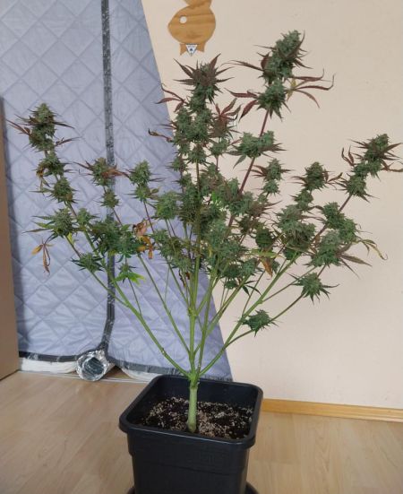 Review photo #3