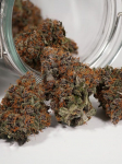 Instagram Purple Punch Auto
