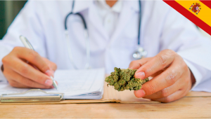 Spain to Legalize Medical Cannabis Sales This Year