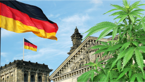 Germany: Future Coalition Government Urged to Legalize Cannabis