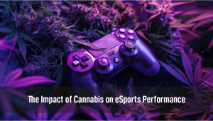 The Impact of Cannabis on eSports Performance: Analyzing Reaction Times and Strategic Thinking in Gamers