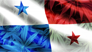 Panama Legalizes Medical Marijuana