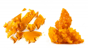 Cannabis Concentrates: Shatter vs Wax