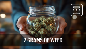 7 Grams of Weed: Understanding Marijuana Weights and Measurements