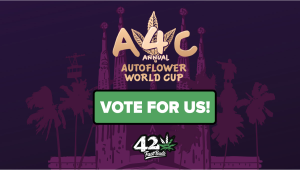 Vote for us at The Autoflower World Cup 2024 that will be held in Barcelona!