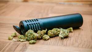 Dry Herb Vaporizers: Everything You Need To Know