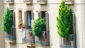 7 Consigli per Coltivare Erba sul Balcone