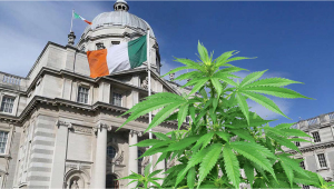 Ireland’s Medical Cannabis Access Program Sabotaged by Doctors