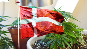 Copenhagen, Denmark, Could Legalize Weed as a 5-Year Experiment