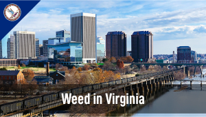 Weed in Virginia: Cannabis Legal Status Guide