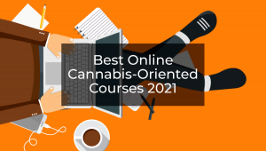 The Best Online Cannabis-Oriented Courses Of 2022