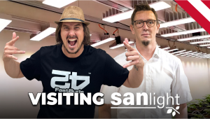 Jak se vyrábějí pěstitelské LED: SANlight Factory