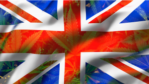 Is Weed Legal in the UK? A Short History and Analysis of British Laws