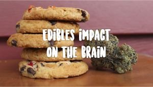 Edibles Impact On Your Brain