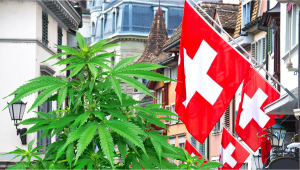 Zürich - Schweiz, erlaubt im Rahmen eines Pilotprogramms den Verkauf von Cannabis für den Freizeitgebrauch