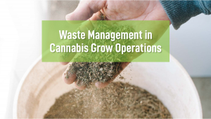 Waste Management In Cannabis Grow Operations