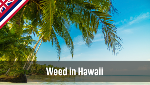 Weed in Hawaii: Cannabis Legal Status Guide