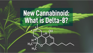 New Cannabinoid: What is Delta-8?