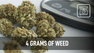 4 Grams of Weed: Understanding Marijuana Weights and Measurements