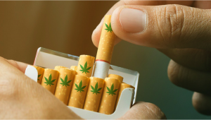 UK’s Leading Cigarette Manufacturer Sees Future in Cannabis