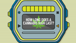 How Long Does a Weed High Last & What are the Effects of Cannabis