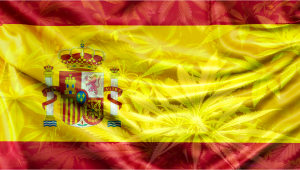 The Spanish Agency of Medicines Approves The Cultivation of 3 Hectares of Cannabis