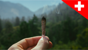 Switzerland Will Allow Recreational Weed Sales as a Pilot Program