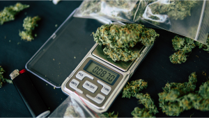 Weed Measurements Guide: Marijuana Weights, Amounts & Sizes