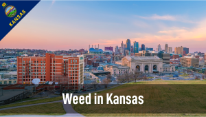 Weed in Kansas: Cannabis Legal Status Guide