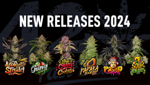 Presenting our highly awaited 2024 autoflower releases!