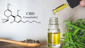 How does CBD Counteract the Effects of THC?