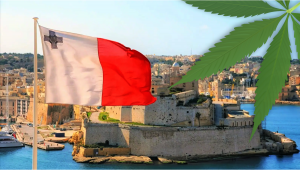 Weed in Malta: Cannabis Legal Status Guide