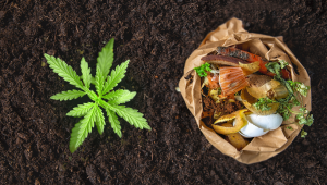 Organic Cannabis Nutrients: Composting