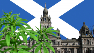 La burocracia relativa al cannabis medicinal está afectando a los niños con epilepsia en Escocia