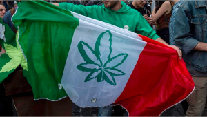 500.000 firmas en menos de una semana: Italia quiere despenalizar el cannabis