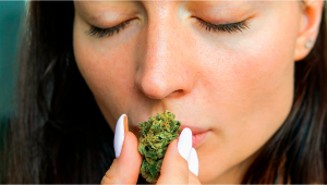 7 Ways of Getting Rid Of Weed Smell