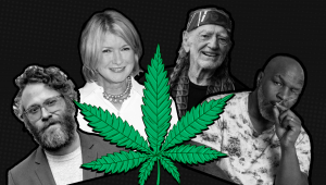 10 Famous Cannabis Companies Supported By Celebrities